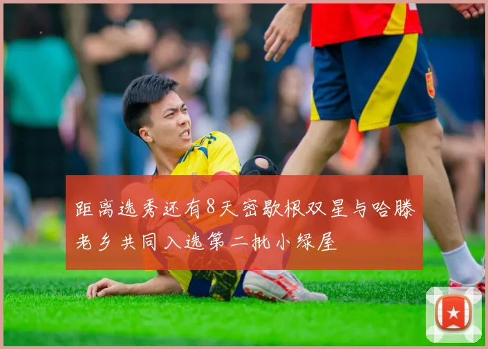 距离选秀还有8天密歇根双星与哈滕老乡共同入选第二批小绿屋